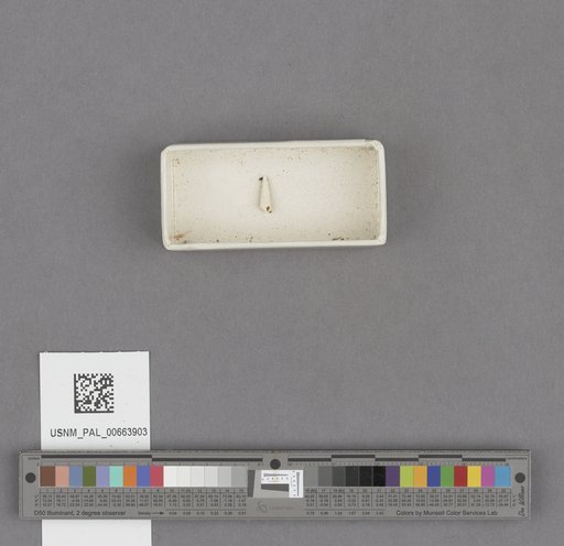NSF ADBC EPICC TCN