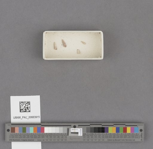 NSF ADBC EPICC TCN