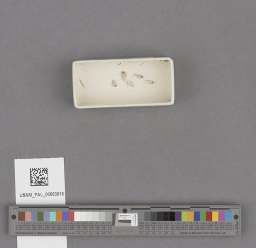 NSF ADBC EPICC TCN