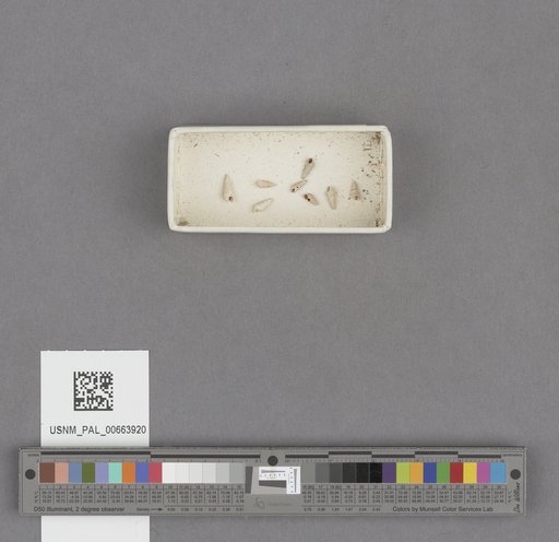 NSF ADBC EPICC TCN
