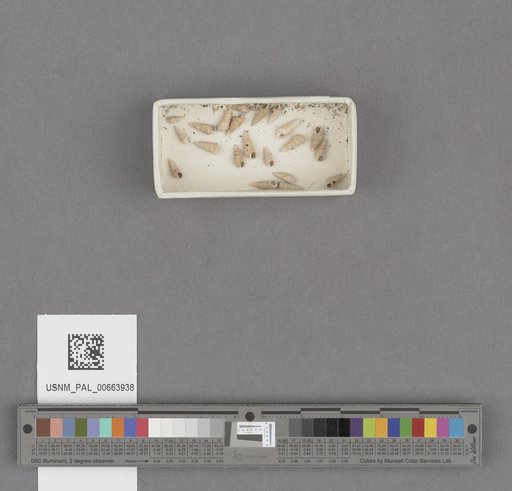 NSF ADBC EPICC TCN