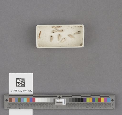 NSF ADBC EPICC TCN