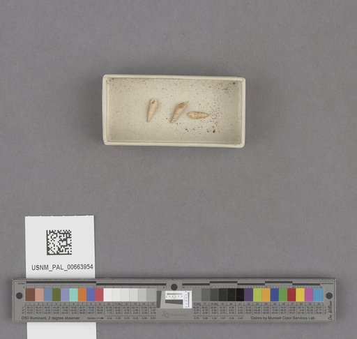 NSF ADBC EPICC TCN