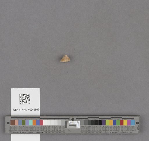 NSF ADBC EPICC TCN