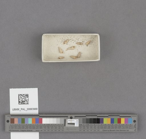 NSF ADBC EPICC TCN