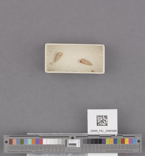 NSF ADBC EPICC TCN