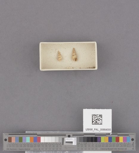 NSF ADBC EPICC TCN