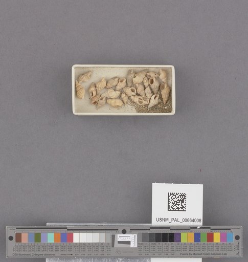 NSF ADBC EPICC TCN