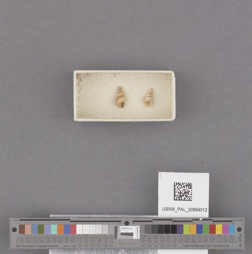 NSF ADBC EPICC TCN