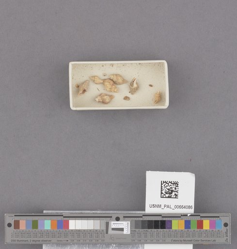 NSF ADBC EPICC TCN