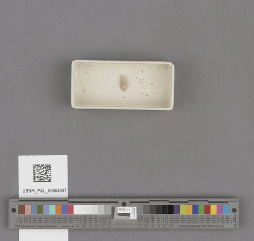 NSF ADBC EPICC TCN