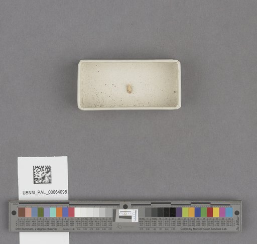 NSF ADBC EPICC TCN