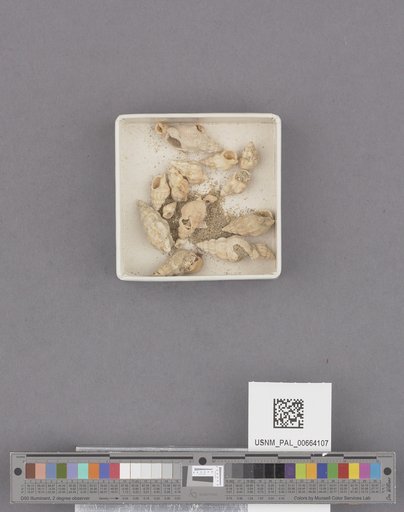 NSF ADBC EPICC TCN