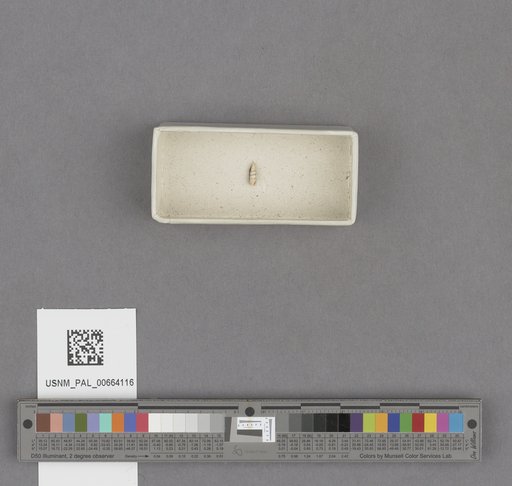 NSF ADBC EPICC TCN