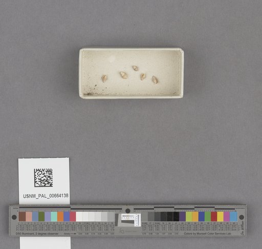NSF ADBC EPICC TCN