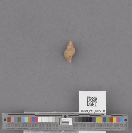 NSF ADBC EPICC TCN