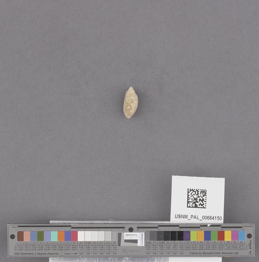 NSF ADBC EPICC TCN