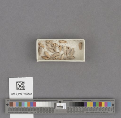 NSF ADBC EPICC TCN