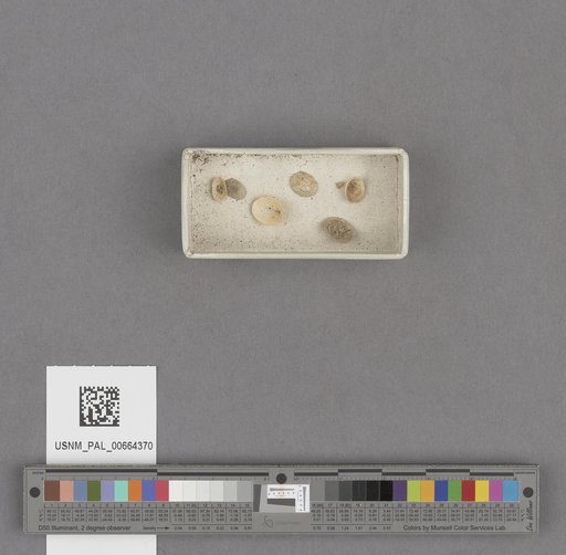 NSF ADBC EPICC TCN