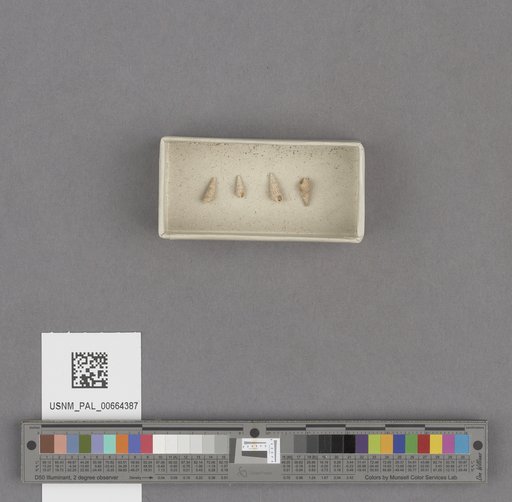NSF ADBC EPICC TCN