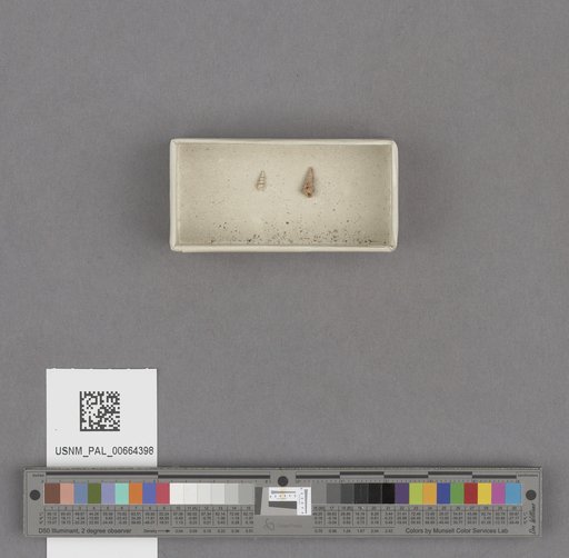 NSF ADBC EPICC TCN