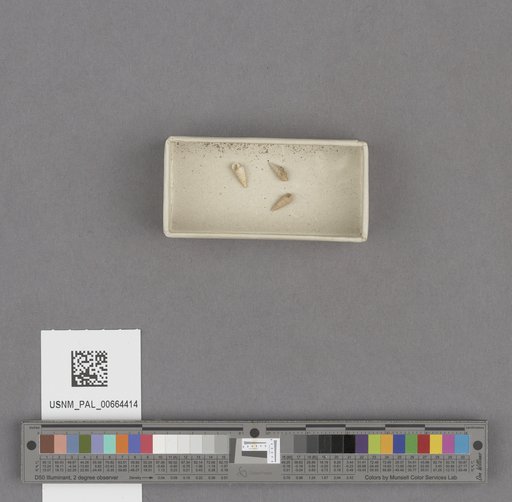 NSF ADBC EPICC TCN