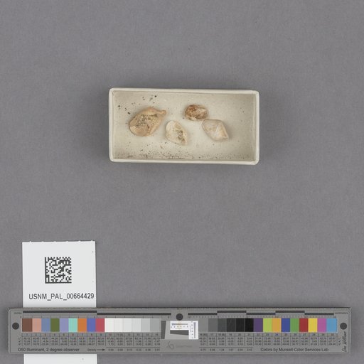 NSF ADBC EPICC TCN
