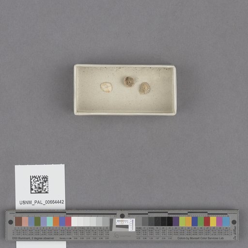 NSF ADBC EPICC TCN