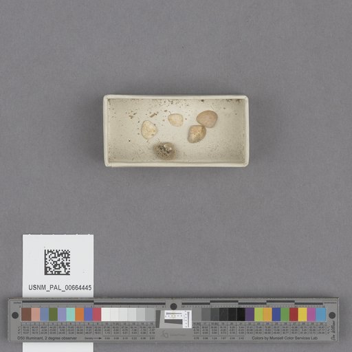 NSF ADBC EPICC TCN