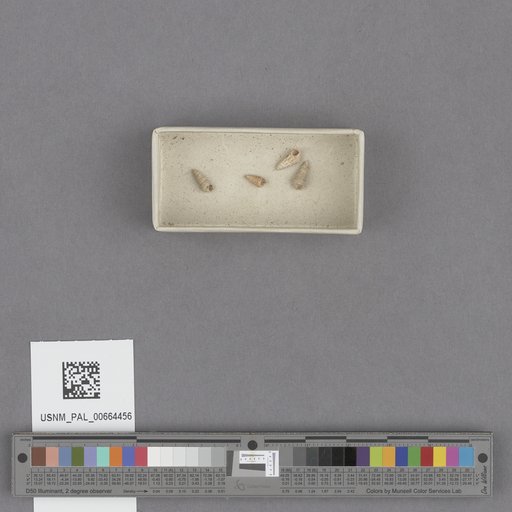 NSF ADBC EPICC TCN