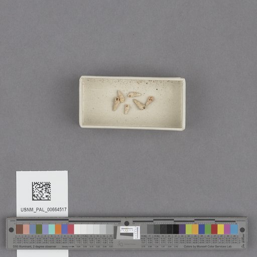 NSF ADBC EPICC TCN