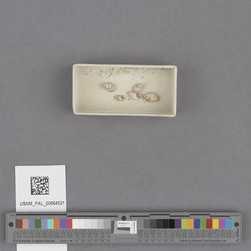 NSF ADBC EPICC TCN