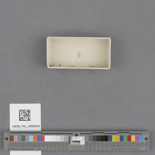 NSF ADBC EPICC TCN