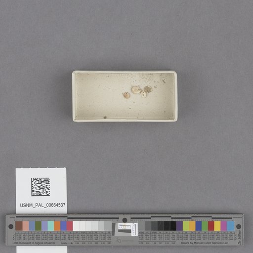 NSF ADBC EPICC TCN