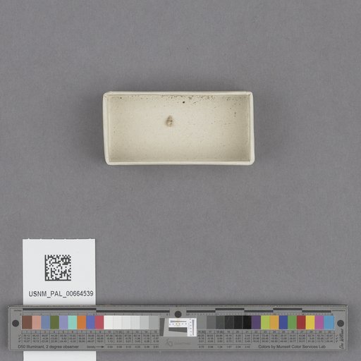 NSF ADBC EPICC TCN