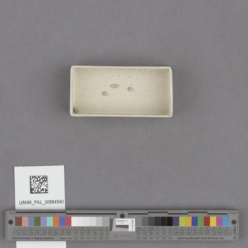 NSF ADBC EPICC TCN