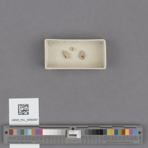 NSF ADBC EPICC TCN