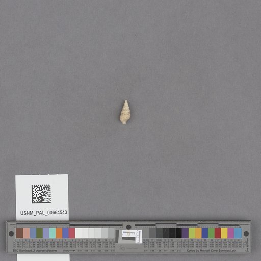 NSF ADBC EPICC TCN
