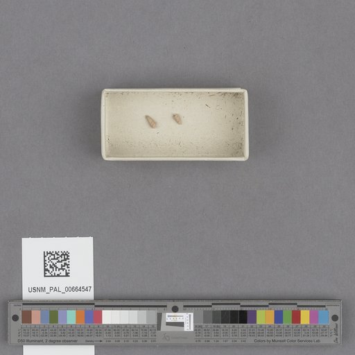 NSF ADBC EPICC TCN