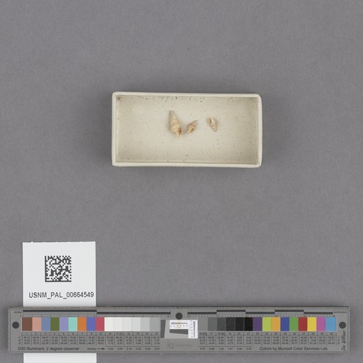 NSF ADBC EPICC TCN