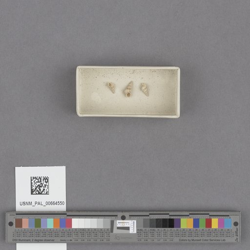 NSF ADBC EPICC TCN