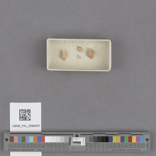 NSF ADBC EPICC TCN