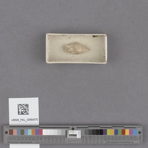 NSF ADBC EPICC TCN