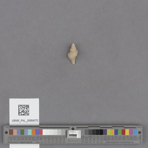 NSF ADBC EPICC TCN