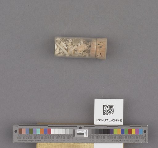 NSF ADBC EPICC TCN
