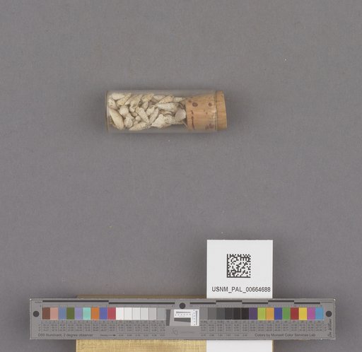 NSF ADBC EPICC TCN