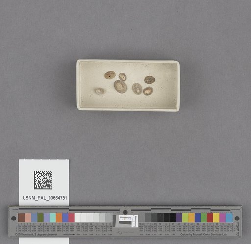 NSF ADBC EPICC TCN