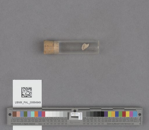 NSF ADBC EPICC TCN