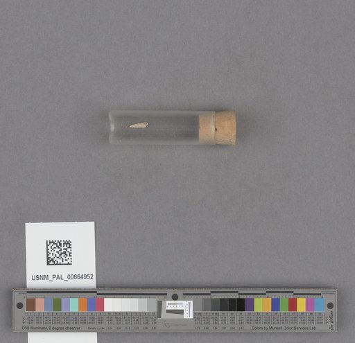 NSF ADBC EPICC TCN