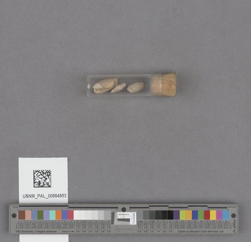 NSF ADBC EPICC TCN